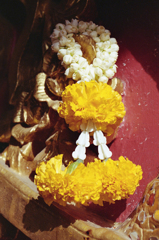 Wat Bowornniwet 04