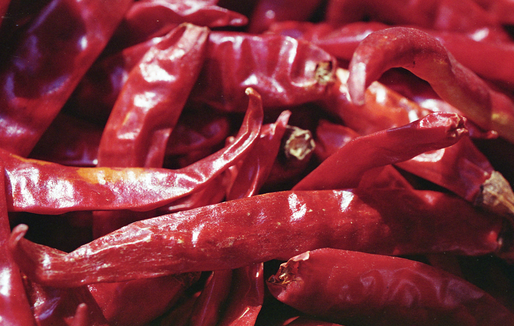 Hot Red 01
