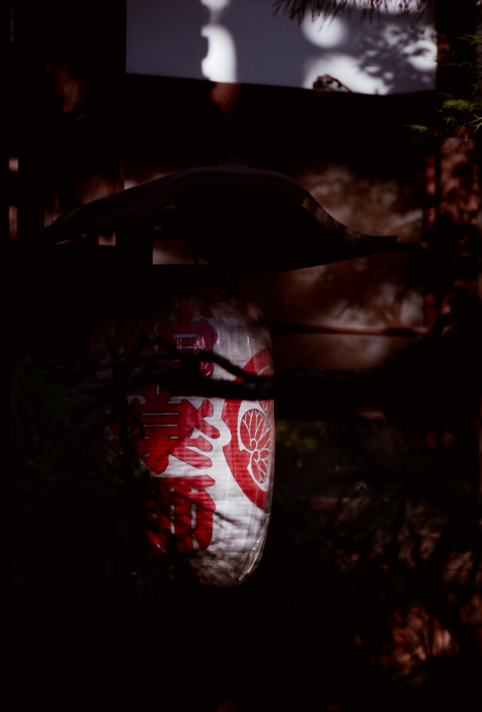 Lantern 01