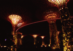 Gardens by the bay 03