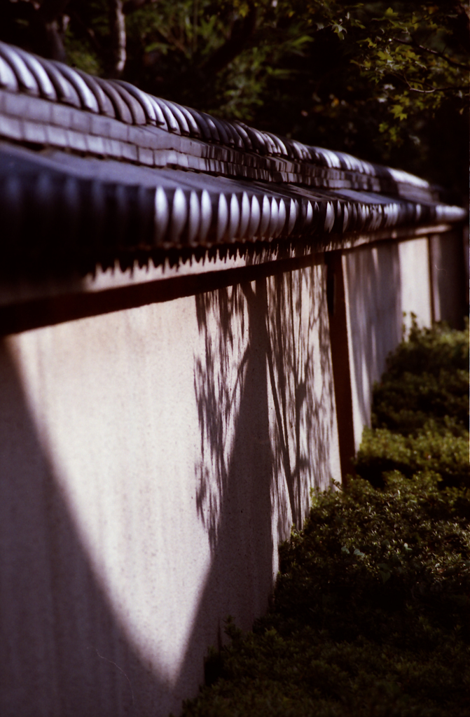 Sun Makes 01
