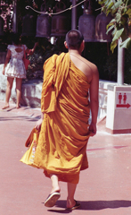 Monk (Wat Sraket) 02