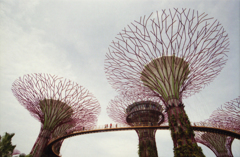 Garden By The Bay 03