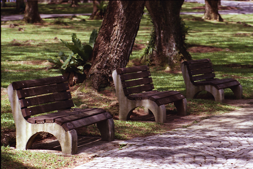 Bench in Pasir Ris Park 01