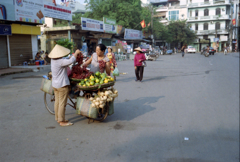 Hanoi Fruits Seller 01