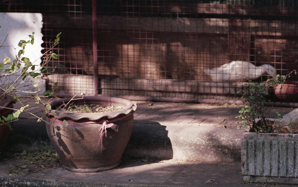 In Daily Life 01