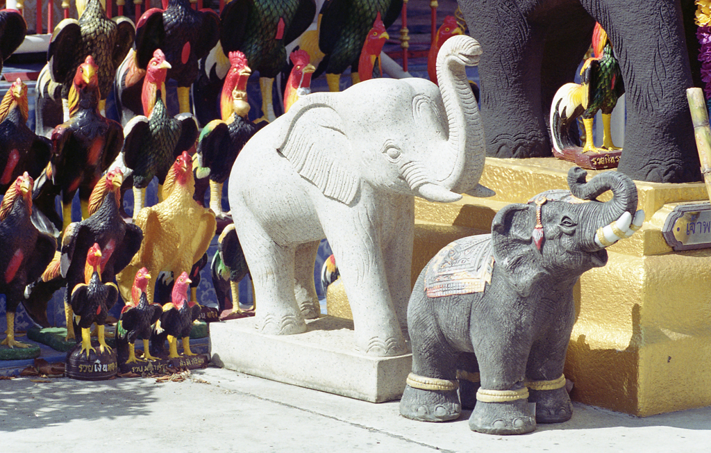 Altar 10