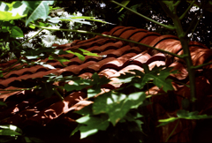 Roof 01