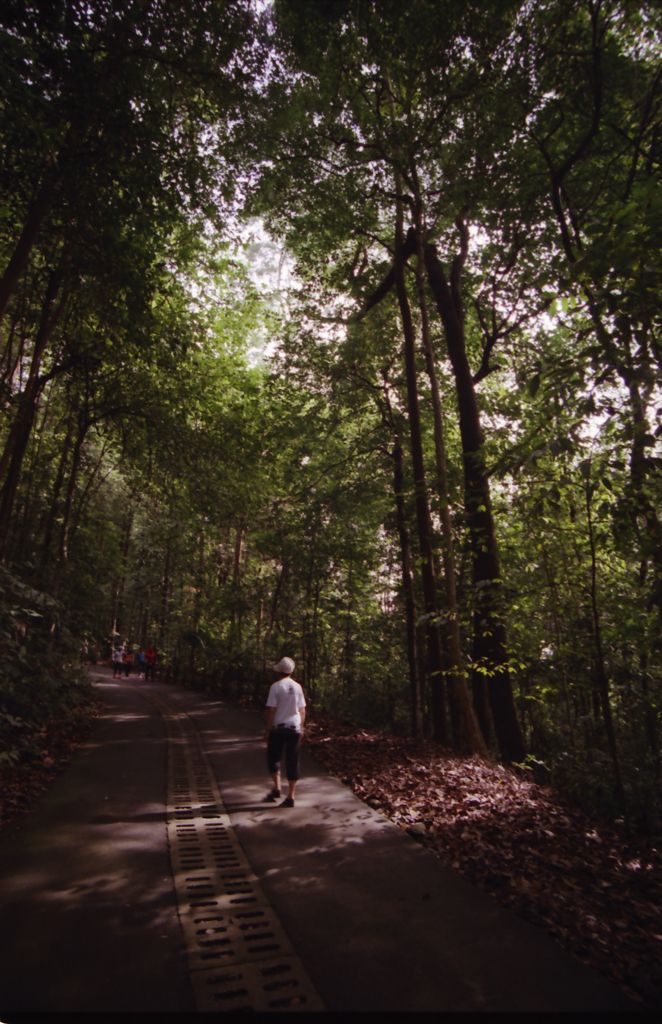 Bukit Timah Hill 04