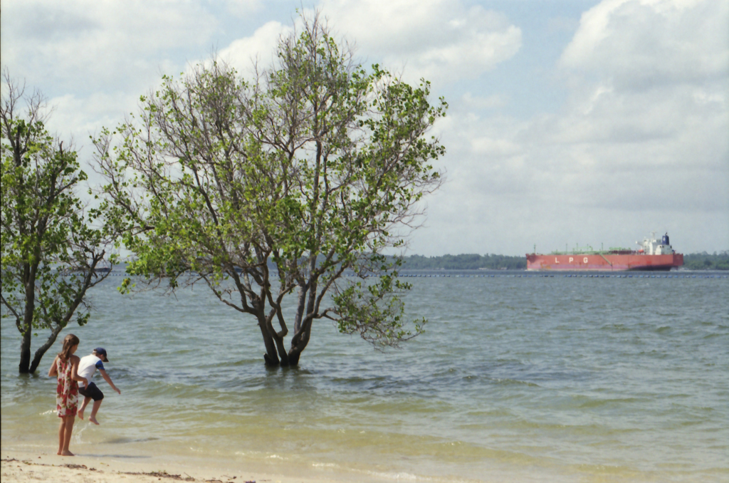 Wonderful Moment in Pasir Ris Park 02