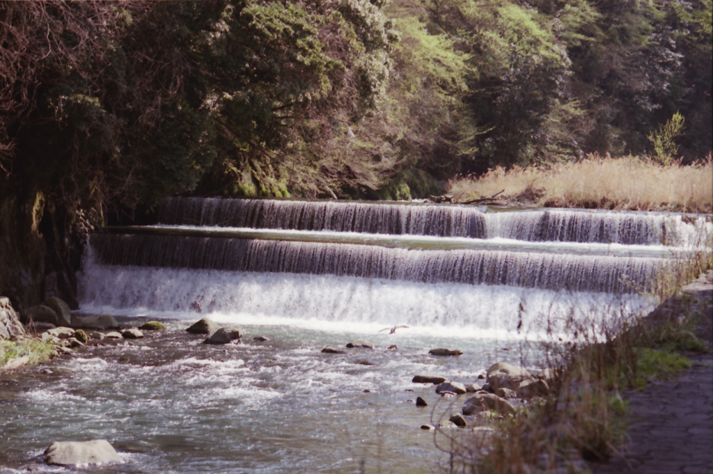 Hakone River 01