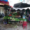 Z5 HCMC 01