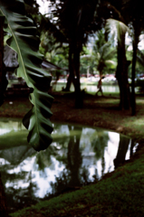 Lumpini Park　08