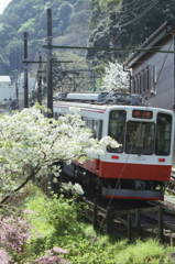 Hakone Train 03