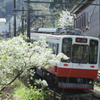 Hakone Train 03