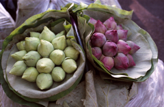 Pak Khlong Market 10