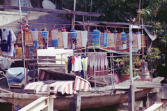 Bird in Cage 01