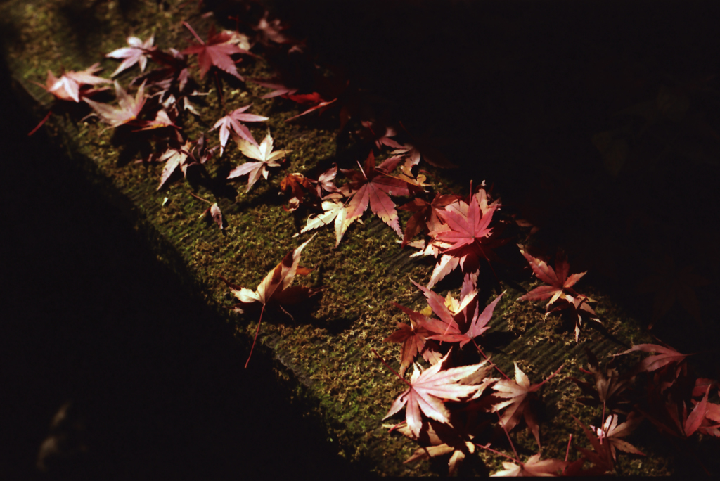 Jindaiji 07