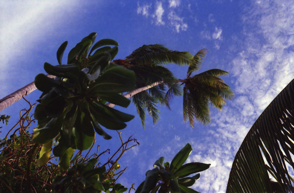 Bintan Island 03