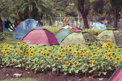 Tents for Demo 01