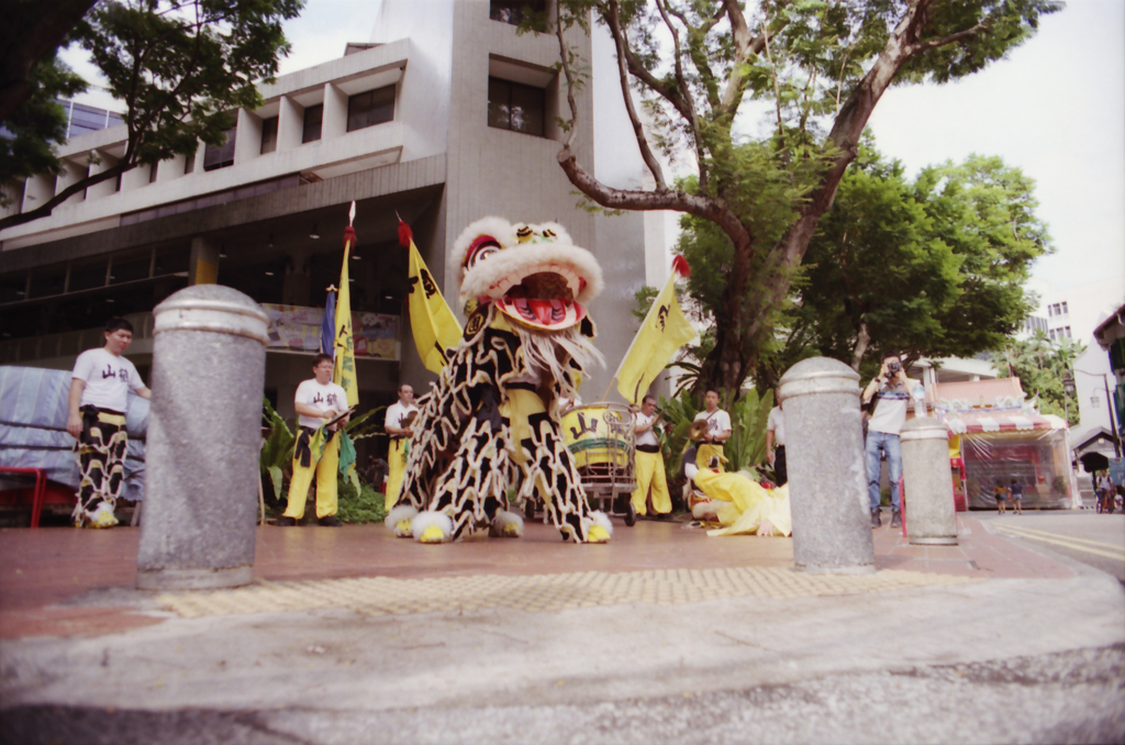 Lion Performance 01