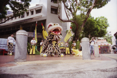 Lion Performance 01