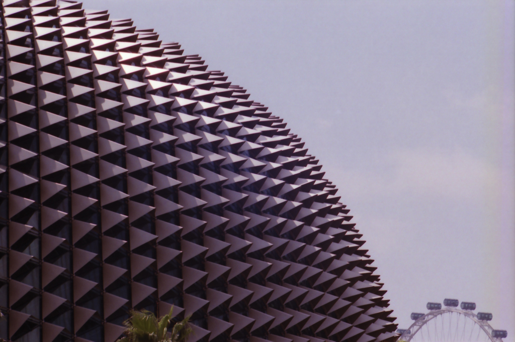 Durian (Esplanade) 01