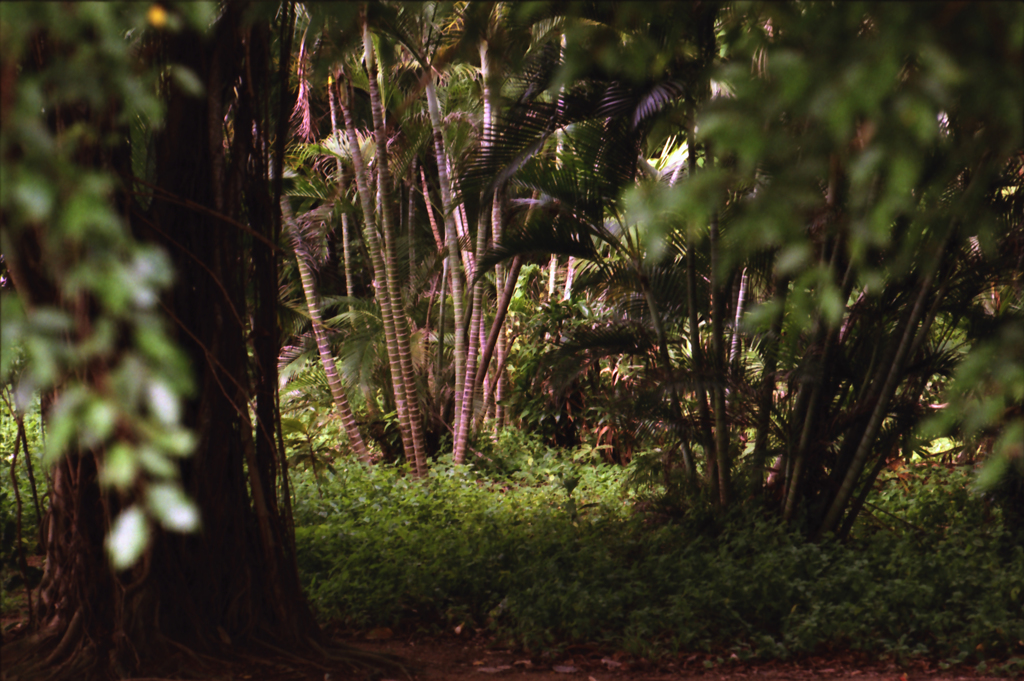 East Cost Park 01