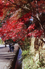 Jindaiji 09