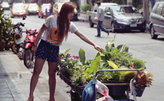 Plants Seller 01