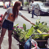 Plants Seller 01