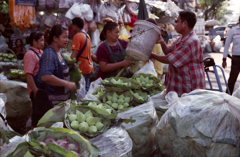 Pak Khlong Market 07