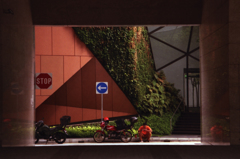 Resting in a frame 01