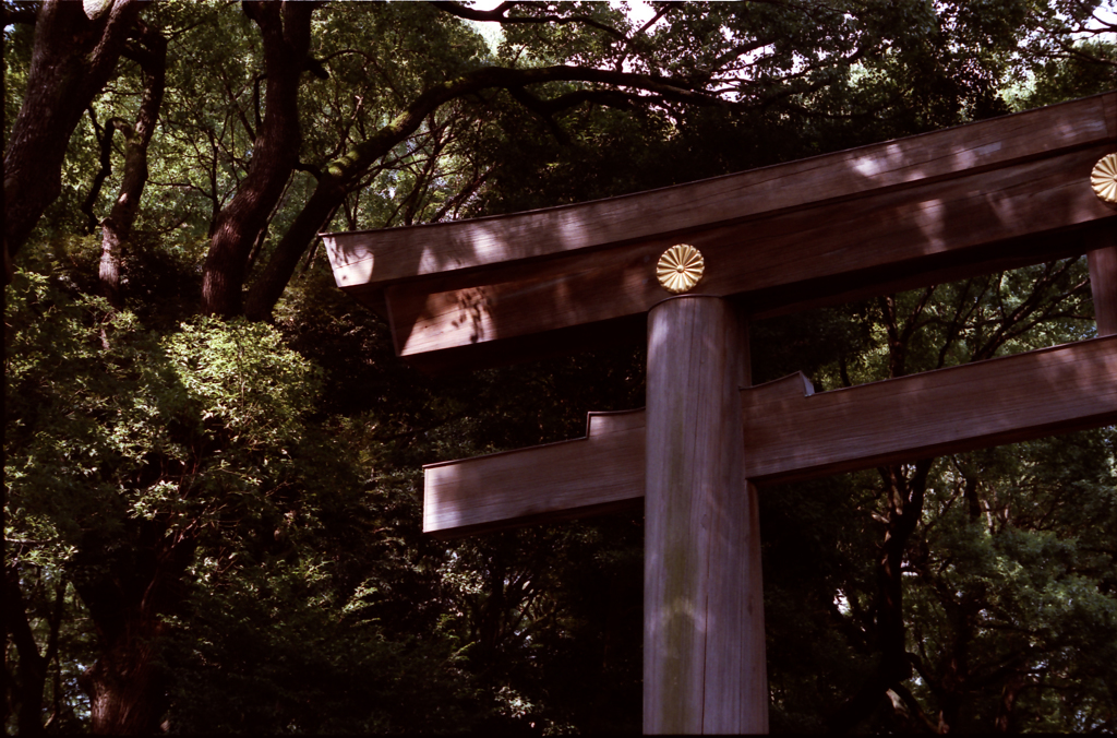 Torii 01