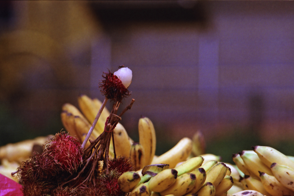 Rambutan 01