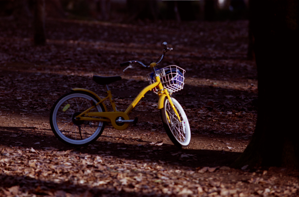 Bicycle 01