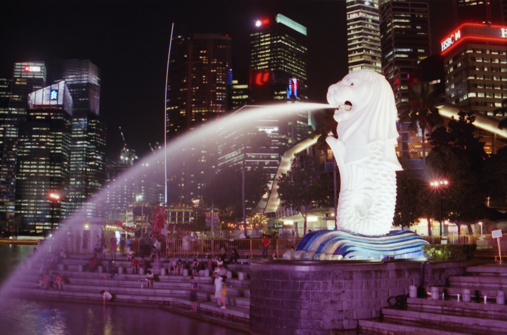 Merlion NGT 01