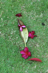 End of Life 02