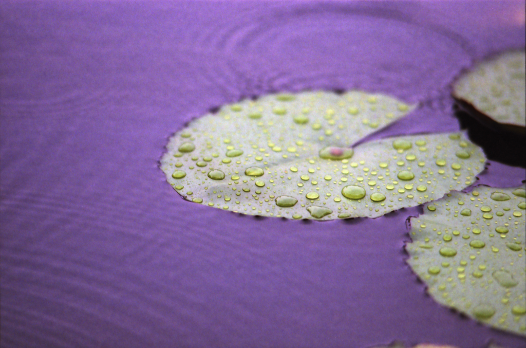 Raindrops 01