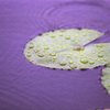 Raindrops 01