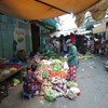 Z5 HCMC 03