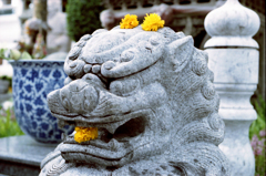 Wat Suthat 01