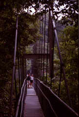 MacRitchie 08