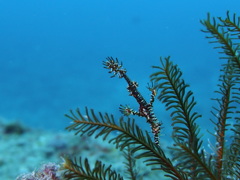 P8140190