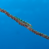 PB040744