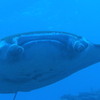 P8120095