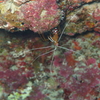 PB030594