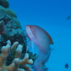 PB040860
