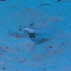 PB040823