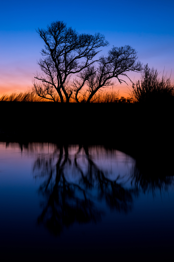 gradation of ・・・
